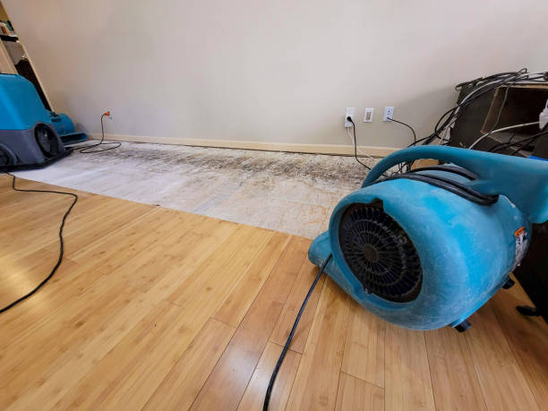 Reliable Basement Flood Cleanup contractor in Pratts, VA by Hirex Water Damage